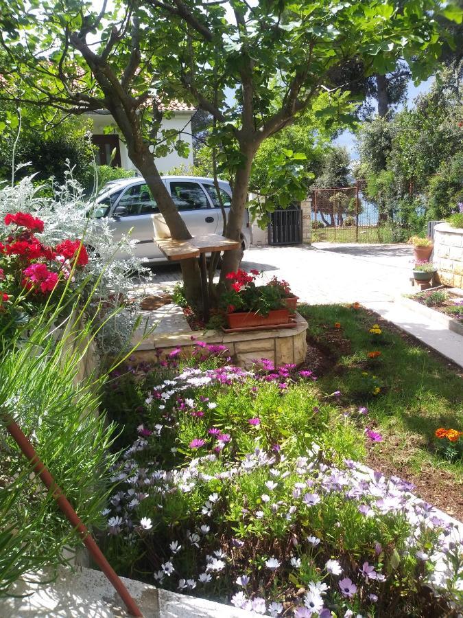 Apartments Zia Петрчане Экстерьер фото